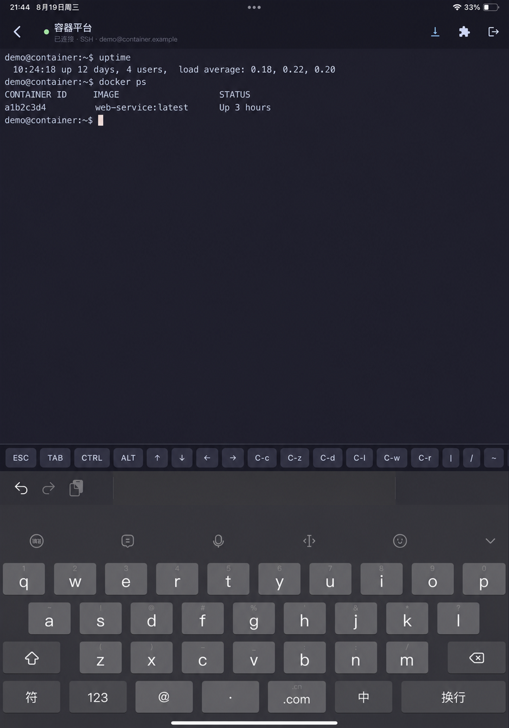 Helm iPad 版：SSH 终端连接