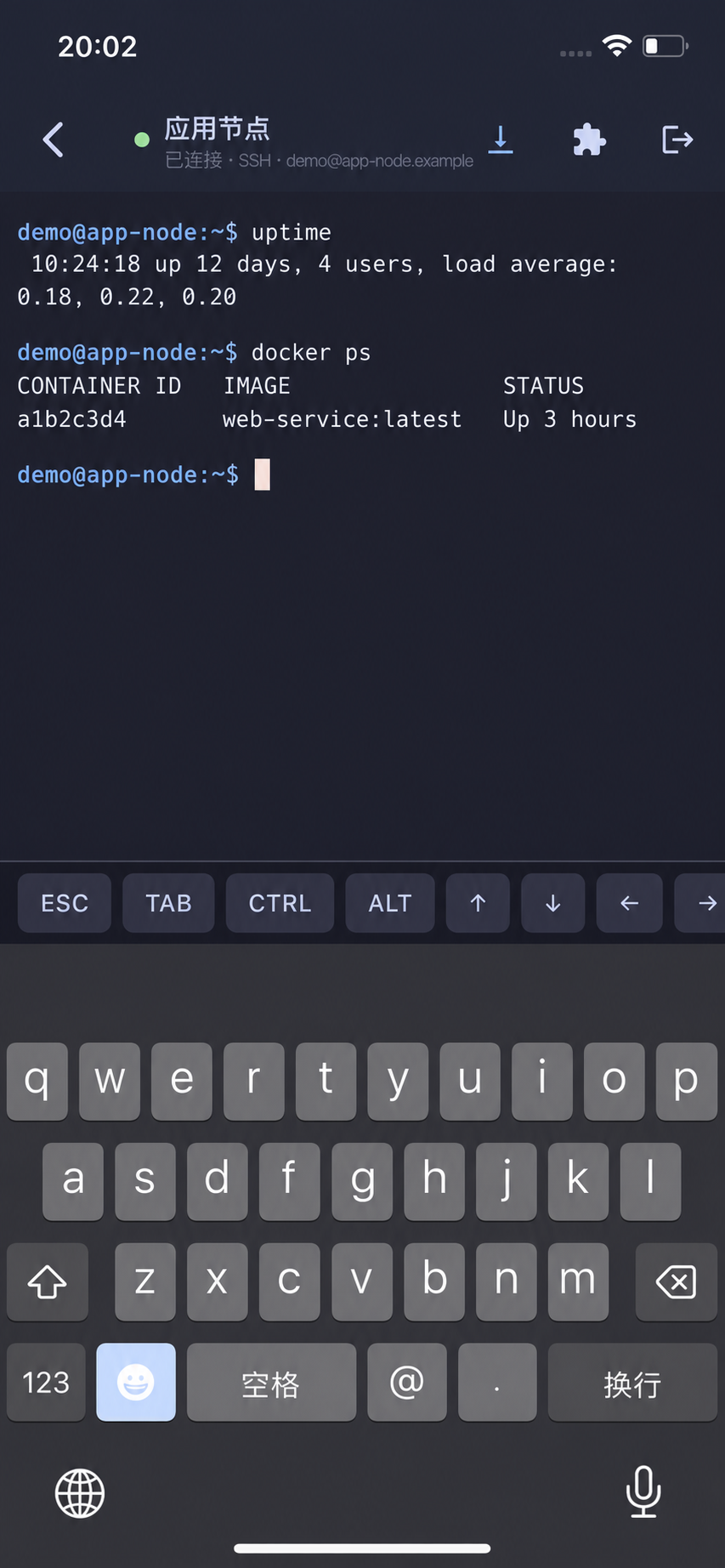 Helm 移动端：SSH 终端：手机上直接执行命令